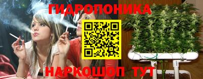 mdpv Лесосибирск