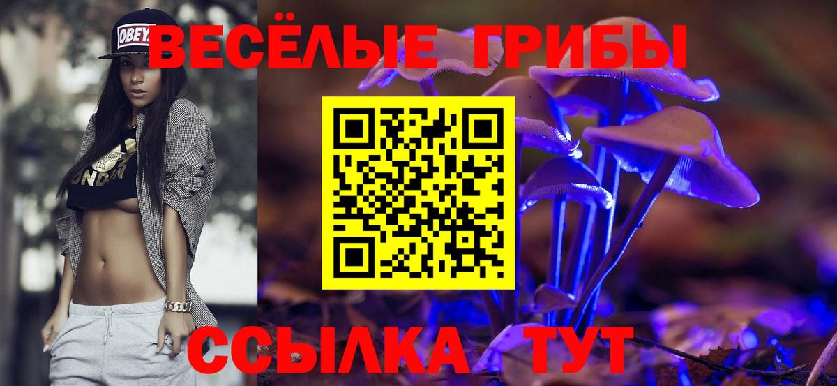 Галлюциногенные грибы Psilocybe  Вход с VPN  Губаха 